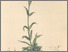 [thumbnail of 11739_1.png]