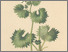 [thumbnail of 11821_1.png]