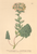 [thumbnail of 11808_1.png]