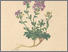 [thumbnail of 11713_1.png]
