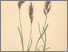 [thumbnail of 12375_1.png]