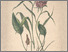 [thumbnail of 11937_1.png]