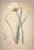 [thumbnail of 12359_1.png]
