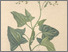 [thumbnail of 12310_1.png]