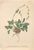 [thumbnail of 12311_1.png]