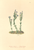 [thumbnail of 11982_1.png]