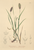 [thumbnail of 12368_1.png]