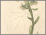 [thumbnail of 11870_1.png]