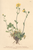 [thumbnail of 11790_1.png]