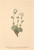 [thumbnail of 11703_1.png]