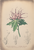 [thumbnail of 11936_1.png]