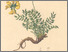 [thumbnail of 11780_1.png]