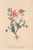[thumbnail of 11787_1.png]