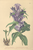 [thumbnail of 11971_1.png]
