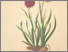 [thumbnail of 12335_1.png]