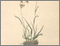 [thumbnail of 12356_1.png]