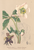 [thumbnail of 11677_1.png]