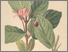 [thumbnail of 11856_1.png]