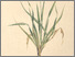 [thumbnail of 12364_1.png]