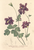 [thumbnail of 11678_1.png]