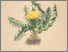 [thumbnail of 11921_1.png]
