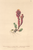 [thumbnail of 11809_1.png]
