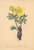 [thumbnail of 11657_1.png]