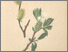[thumbnail of 12321_1.png]