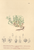 [thumbnail of 11858_1.png]