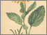 [thumbnail of 11897_1.png]