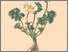 [thumbnail of 11663_1.png]