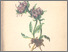 [thumbnail of 11938_1.png]