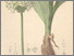 [thumbnail of 12347_1.png]