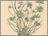 [thumbnail of 11759_1.png]