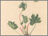 [thumbnail of 11798_1.png]