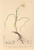 [thumbnail of 12343_1.png]