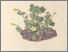 [thumbnail of 11819_1.png]