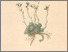 [thumbnail of 11839_1.png]