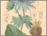 [thumbnail of 11847_1.png]