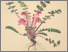 [thumbnail of 12000_1.png]