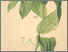 [thumbnail of 12341_1.png]