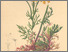 [thumbnail of 11900_1.png]