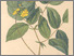 [thumbnail of 11782_1.png]