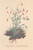 [thumbnail of 11737_1.png]