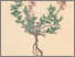 [thumbnail of 11717_1.png]