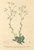 [thumbnail of 11709_1.png]