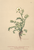 [thumbnail of 11891_1.png]