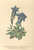 [thumbnail of 11973_1.png]