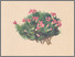 [thumbnail of 11738_1.png]