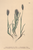 [thumbnail of 12376_1.png]